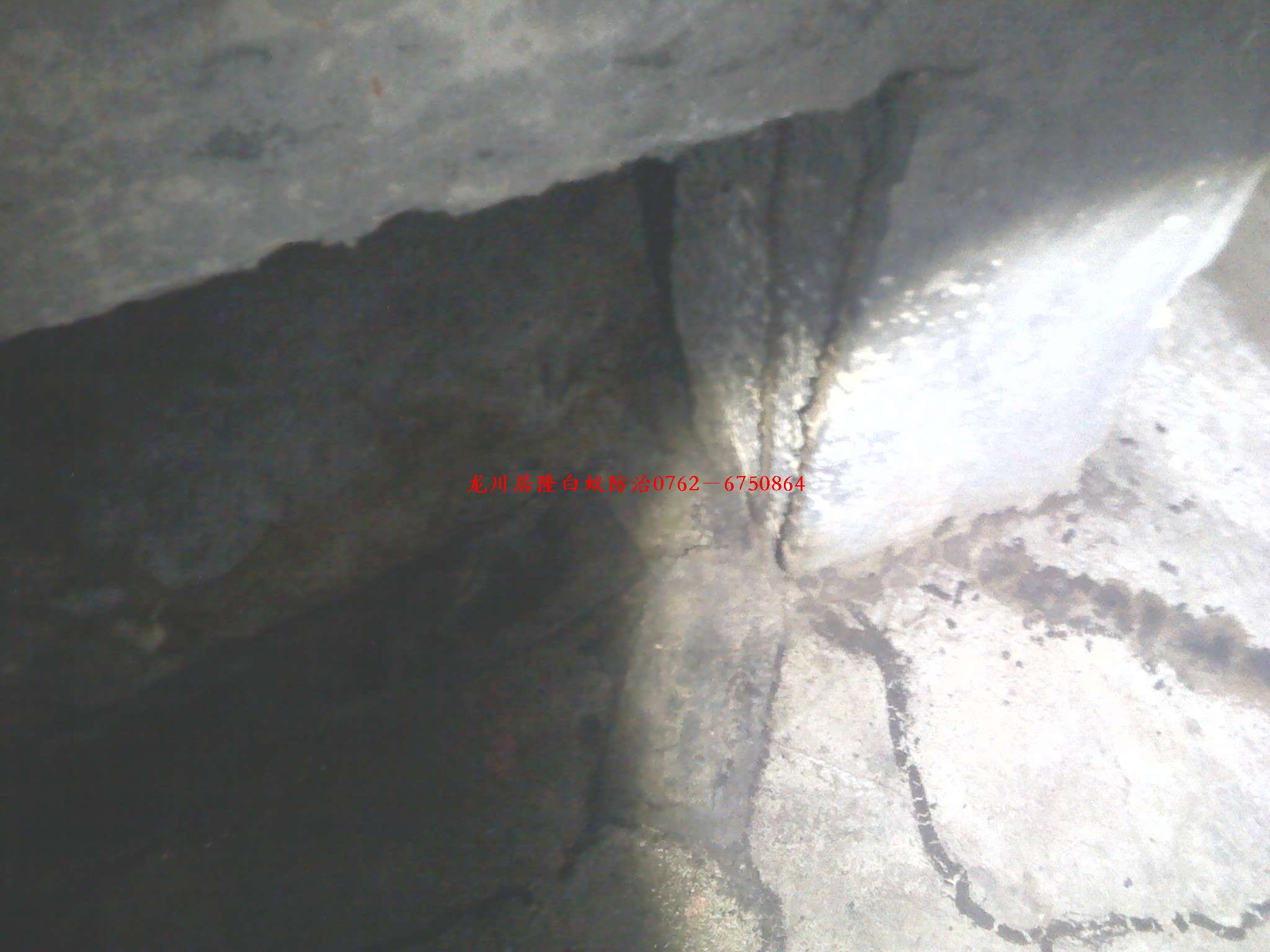 消防池蚁路