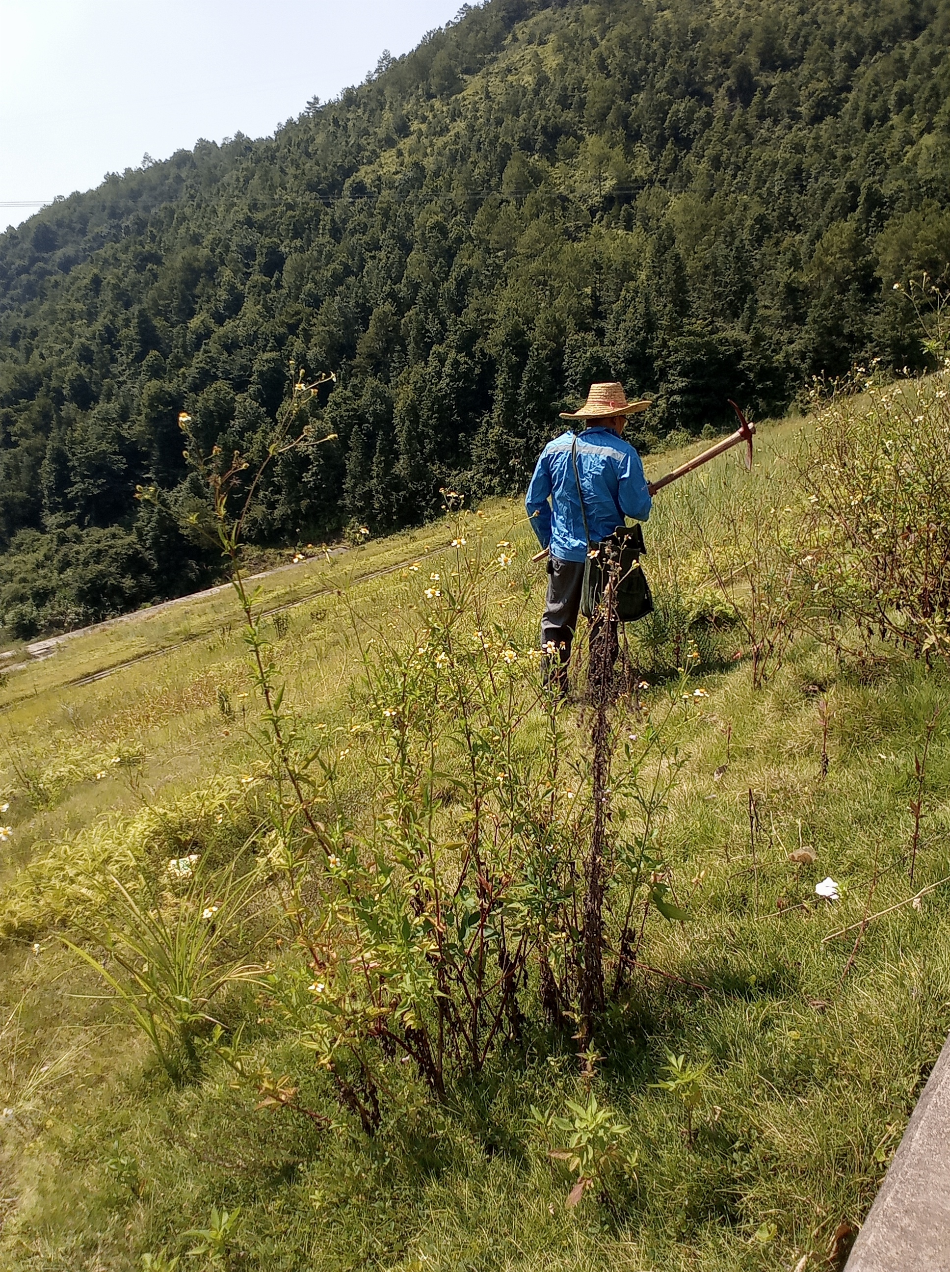 水库白蚁防治.jpg