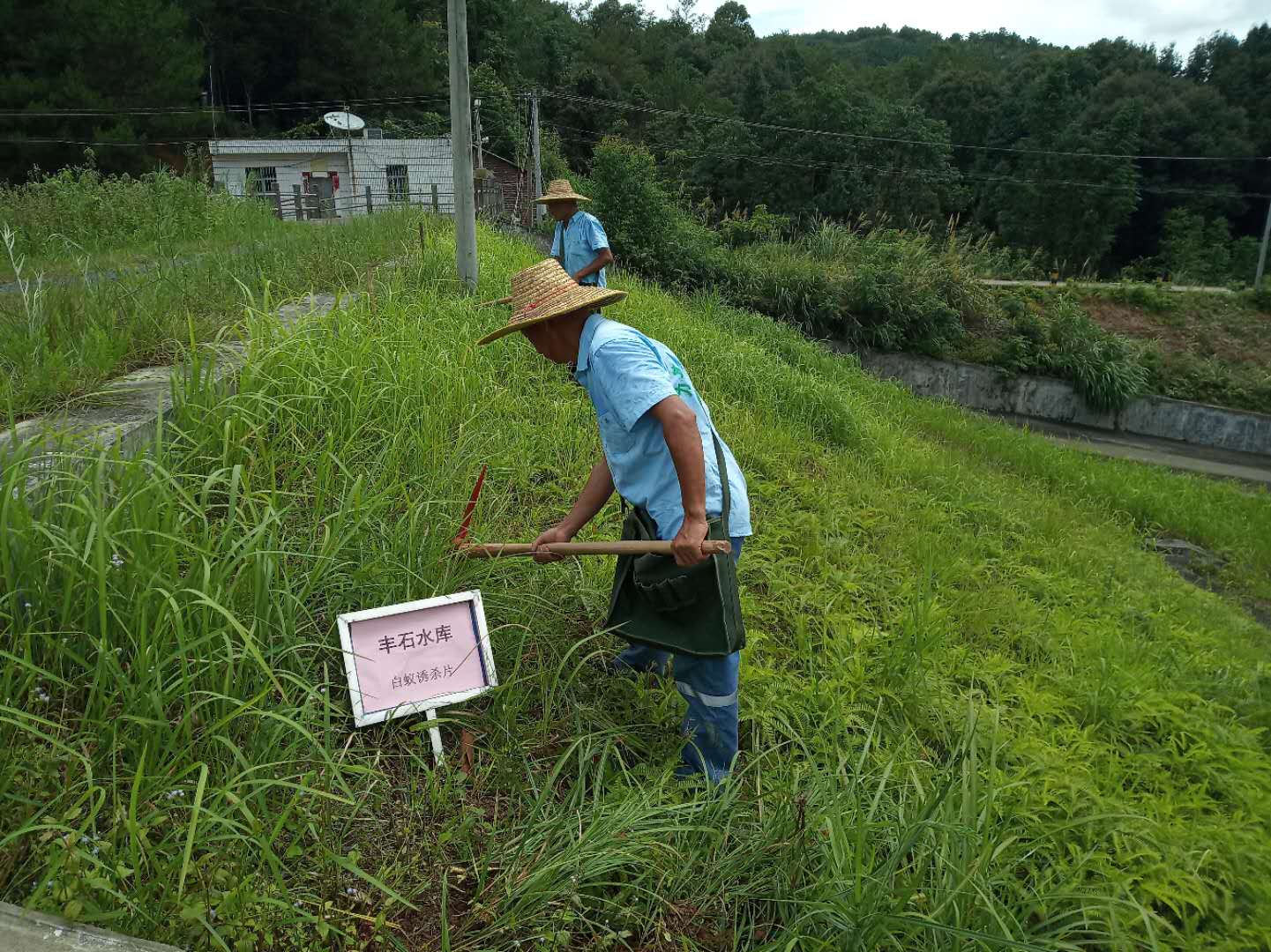 水库白蚁防治.jpg